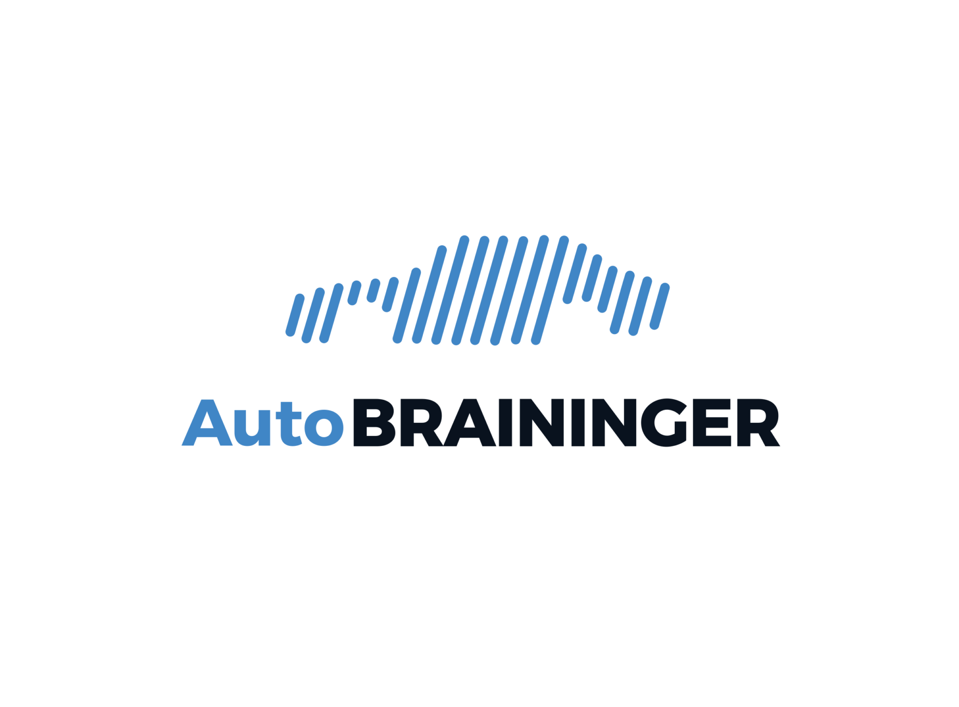 Auto Braininger